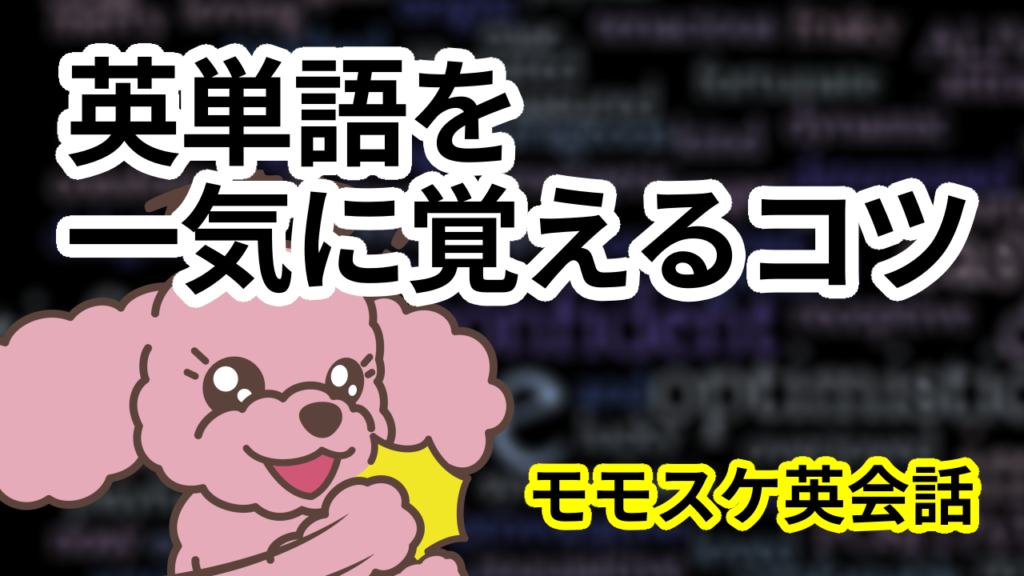 英単語を一気に覚えるコツ！ 同じ状況で使う単語をセットにして覚えてしまおう！| モモスケ英会話