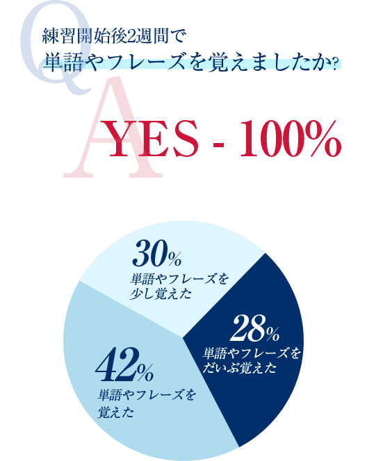 英語開始後2週間で単語やフレーズを覚えましたか？