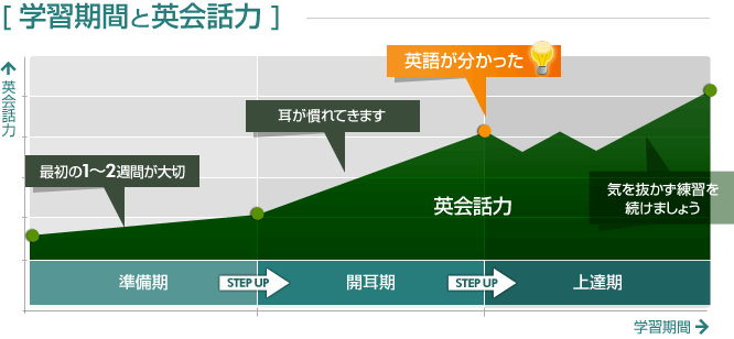 学習期間と英会話力