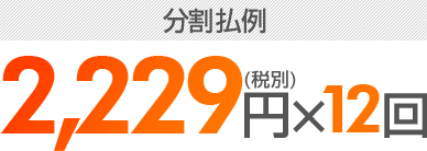 2,229円(税込)×12回